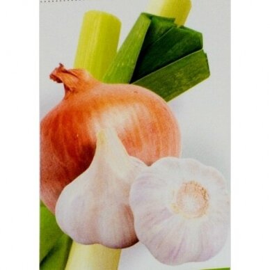 „Garlic Allium Complex“, česnako ir svogūno maisto papildas Neolife