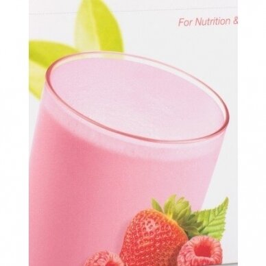 NeoLifeshake, protein drink - food substitute, berry and cream, chocolate and vanilla flavors 4